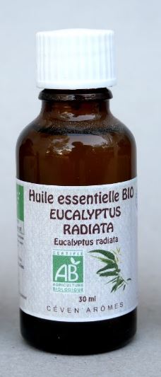 Olio essenziale Eucaliptus Radiata, come in provenza