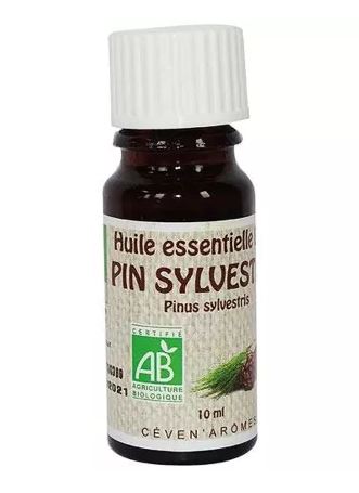 Essential oils in 10 ml pack