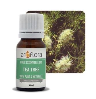 Essential oils in 10 ml pack