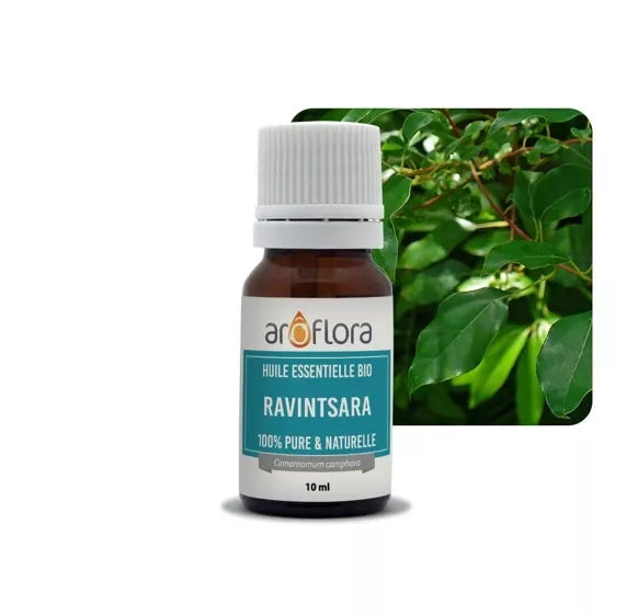 Essential oils in 10 ml pack