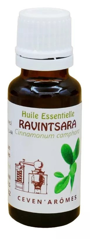 Olio Essenziale Biologico Ravintsara 20ml