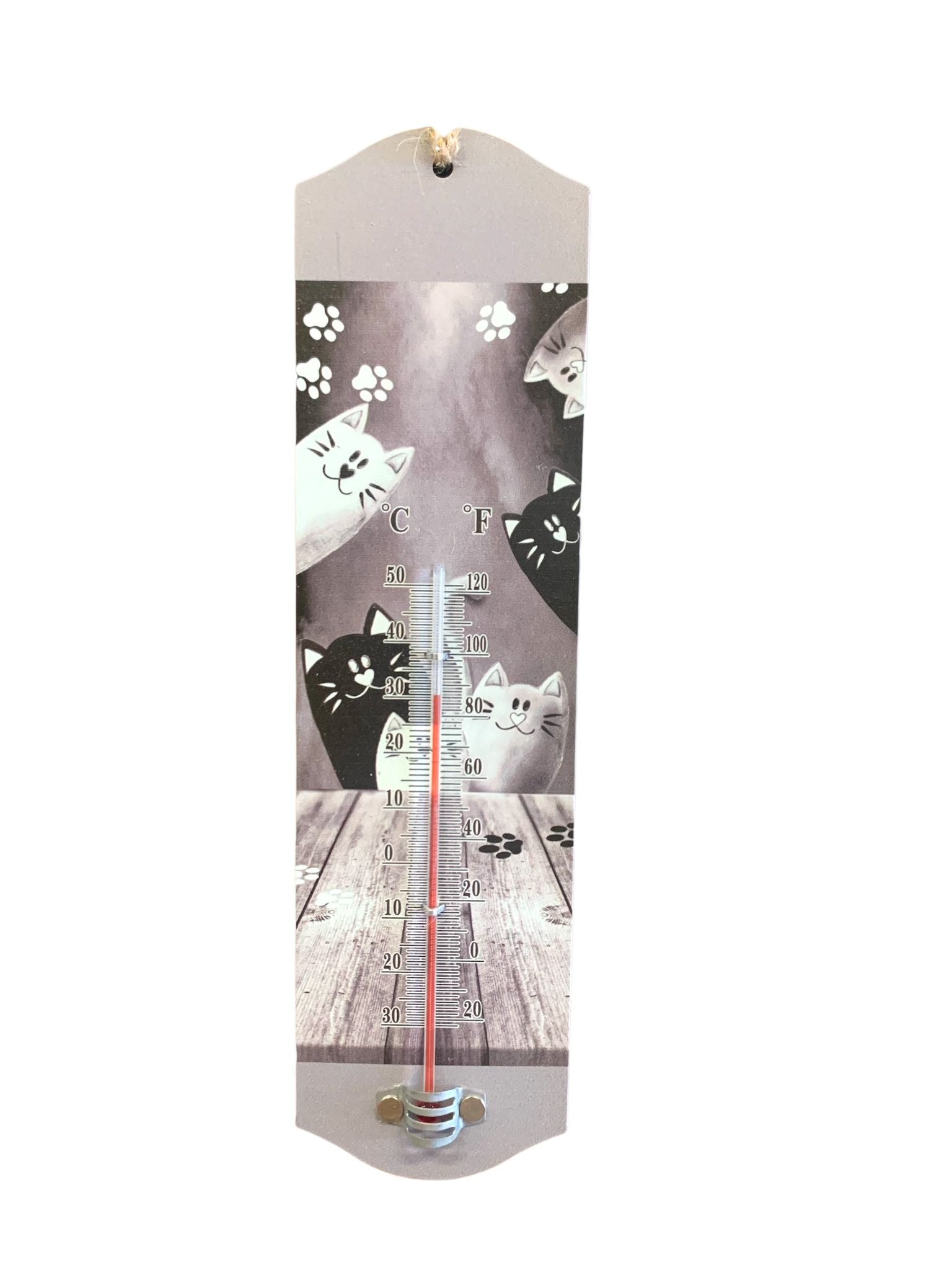 Termometro Collezione Chat