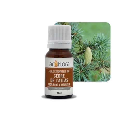 Essential oils in 10 ml pack