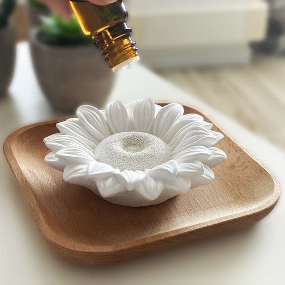 Diffusore di oli essenziali in gesso, come in provenza