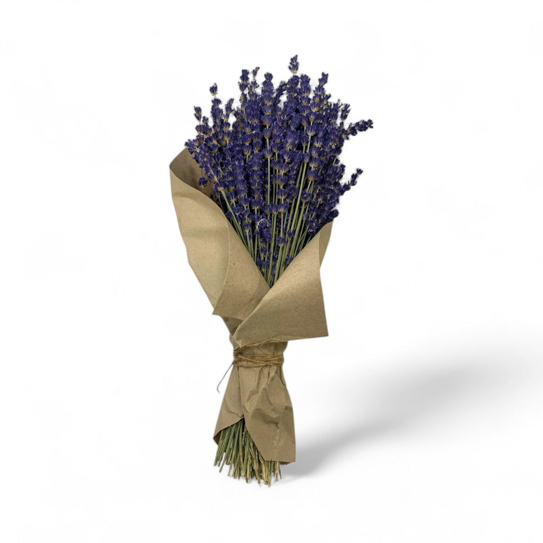 Bouquet di Lavanda Bluette 35 cm
