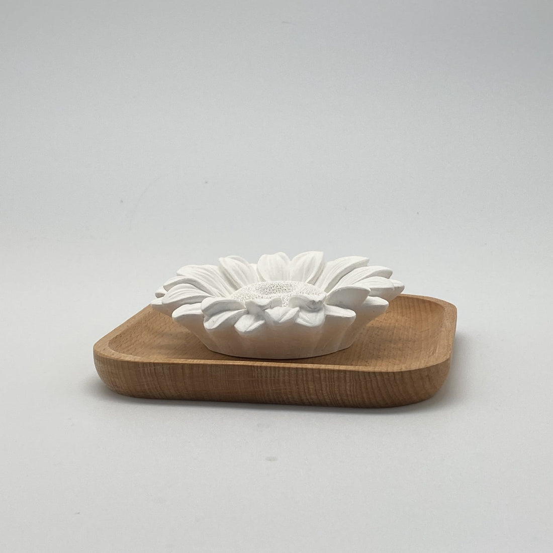 Diffusore di oli essenziali in gesso, come in provenza