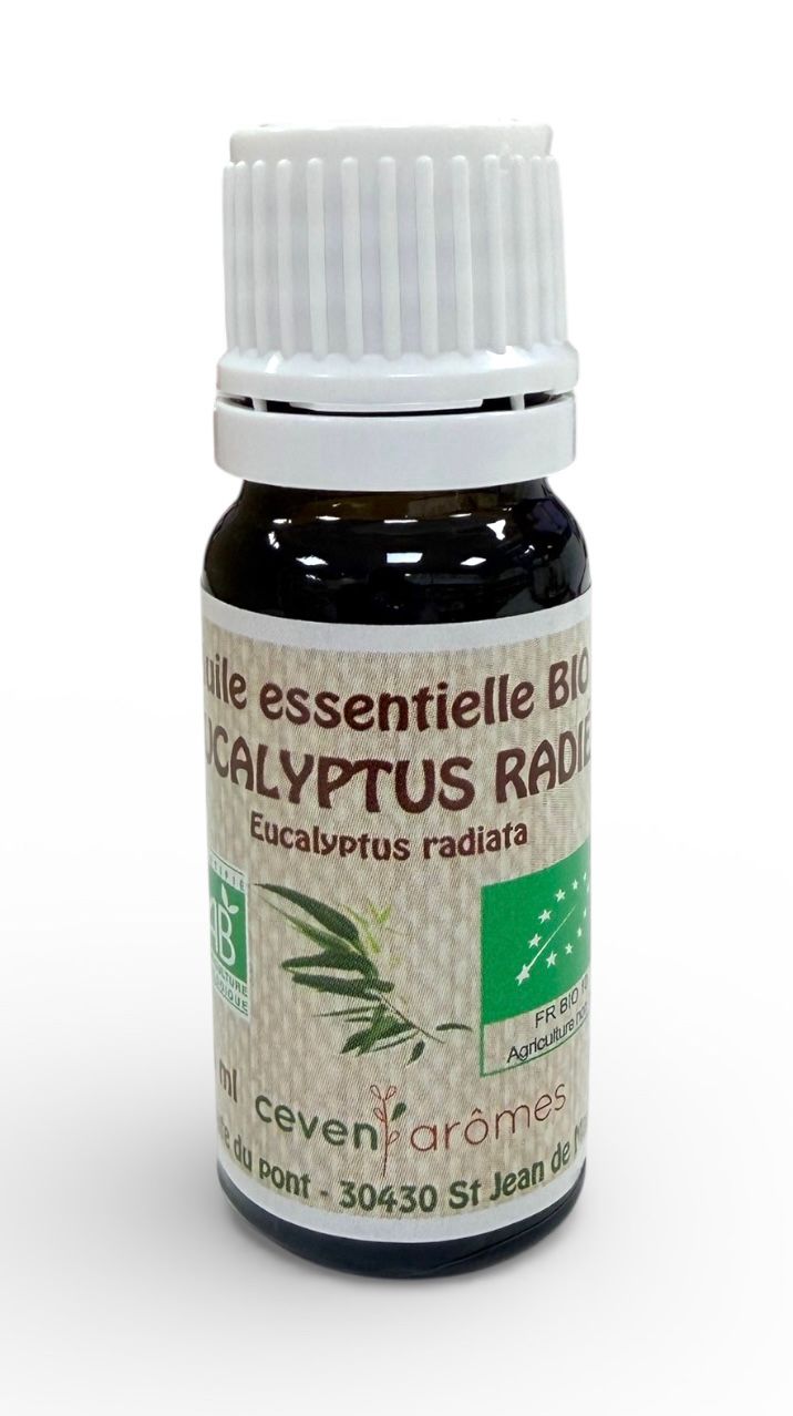 Essential oils in 10 ml pack