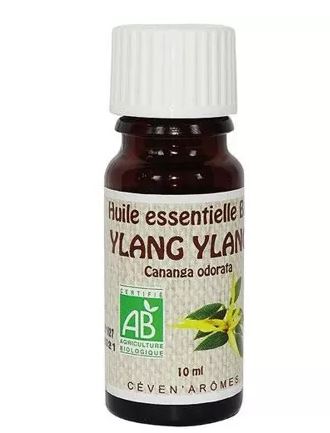 Essential oils in 10 ml pack