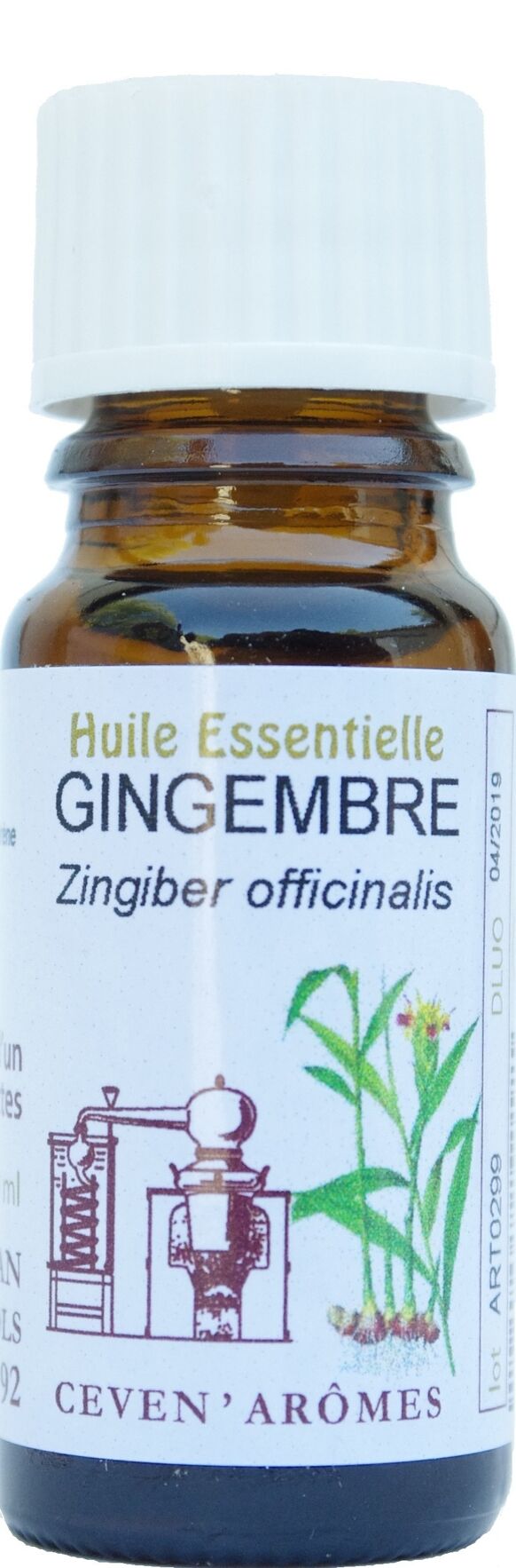Oli essenziali in confezione da 10 ml