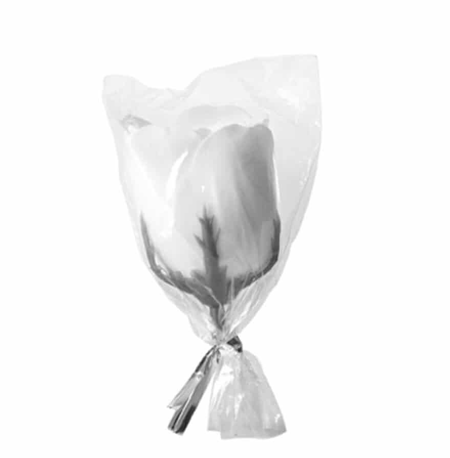 Rosa di sapone Mathilde M