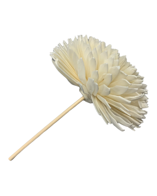Fiore per diffusore di profumo