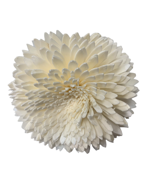 Fiore per diffusore di profumo